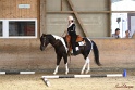 27-APHA OT_121